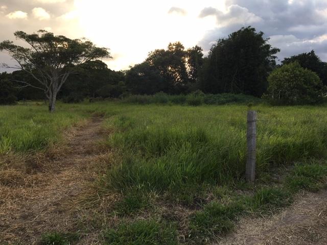 #7 - Chácara para Venda em Torres - RS - 2