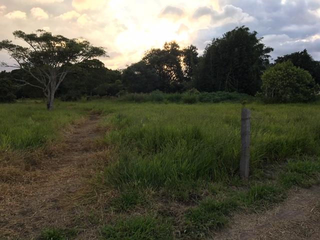 #7 - Chácara para Venda em Torres - RS - 3