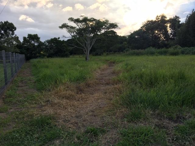 #8 - Terreno para Venda em Torres - RS - 2