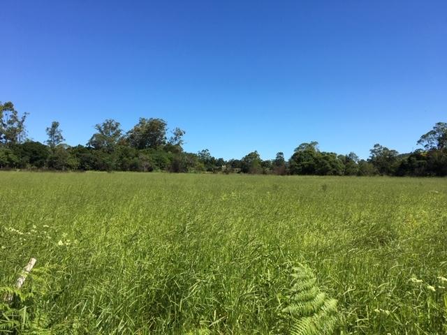 #20 - Terreno para Venda em Torres - RS - 3